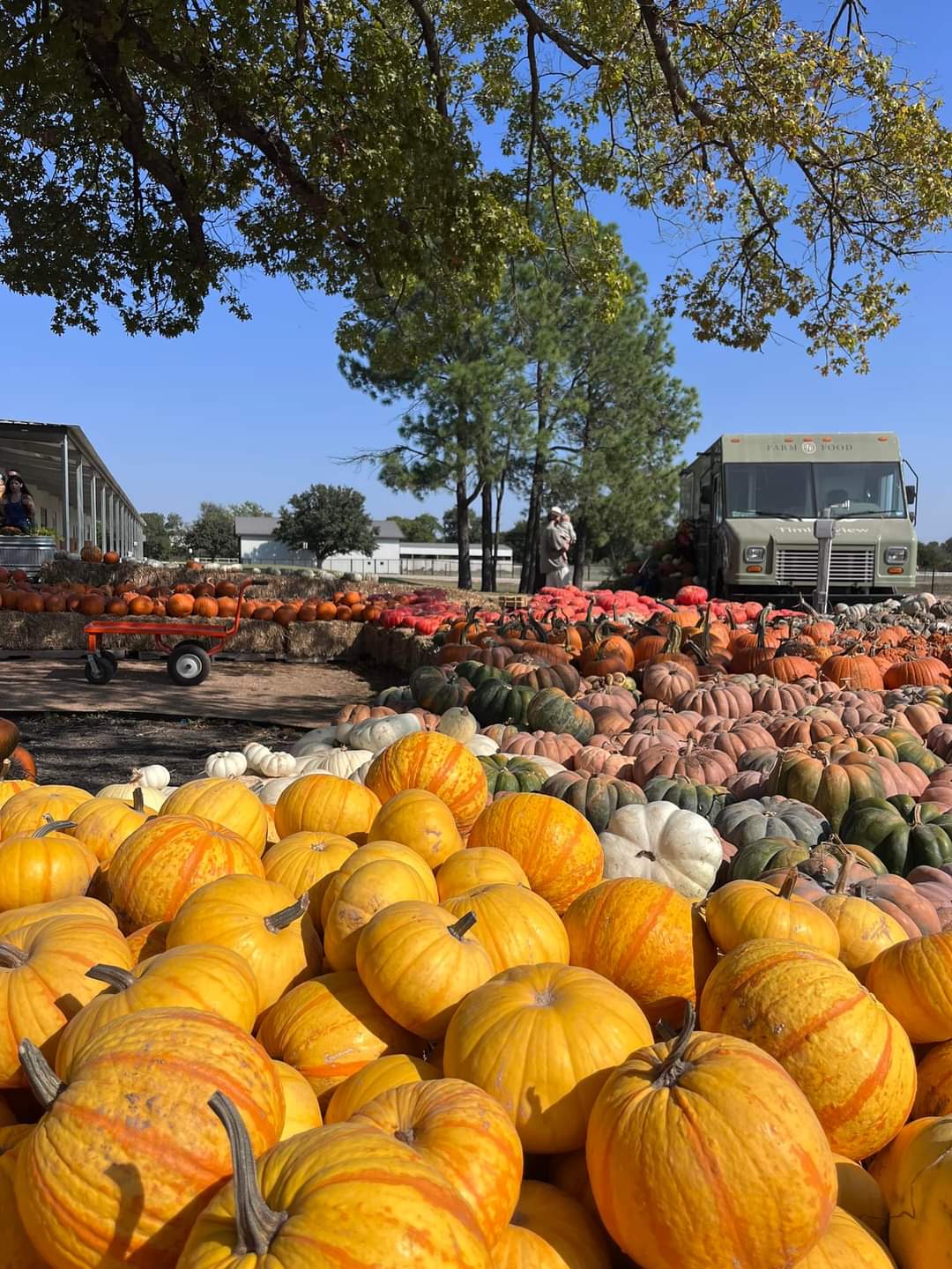 Collections – Timberview Farmstead